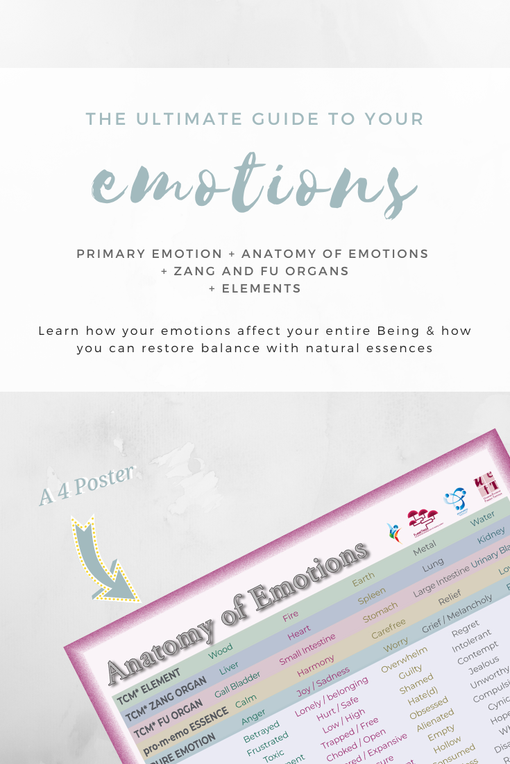 Anatomy of Emotions A4 Poster
